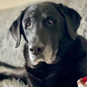 Meet your Posher, Terina